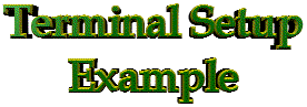 Terminal Setup Example